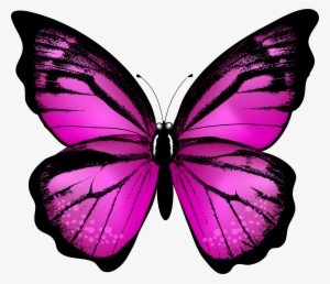 Pink Butterfly Png #1639403