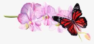 Posted By Laura Hepworth At - Malva #1639550