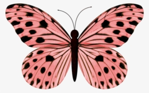 Pink Butterflies - Thank You Mother Card #1639775