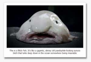 Messed Up Looking Animals #1639869