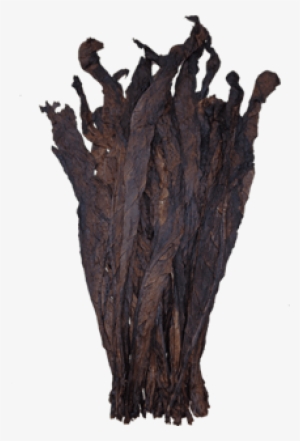 Dark Fire Cured - Dark Fire #1640176