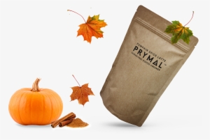 Pumpkin Spice - Bikit Key-ring Type Pet Mask Natural Citronella Air #1640294