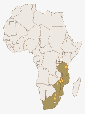 Universal Leaf South Africa Limited (south Africa) - China Africa Trade 2018 #1640341