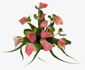 Anthurium Flower Design Png #1640343