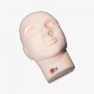 Practice Mannequin Head With Inserts - Head #1640503