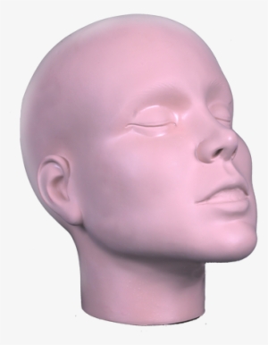 Image - Bust #1640642 Image - Bust #1640642