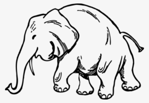 Drawing Elephantidae African Bush Elephant Asian Elephant - Elefante Dibujo #1640752