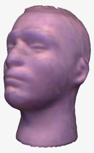 Head - Bust #1641204