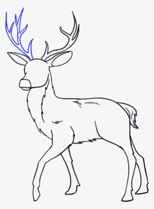 Drawing #1642240