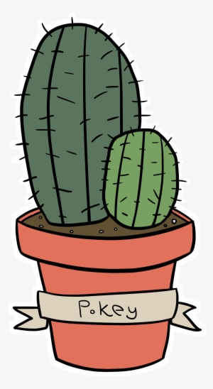 8 Mo - Hedgehog Cactus #1642461