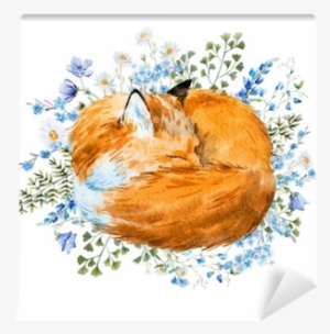 Watercolor Sleeping Fox #1642646
