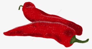 Red Pepper - Bird's Eye Chili #1643803