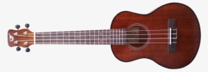 Related Wallpapers - Islander Ukulele Rwspc-4g Ukulele #1644834