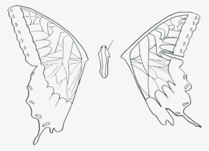 Brand New Eyes Poster Hayley Williams Transprent - Paramore Brand New Eyes #1645269