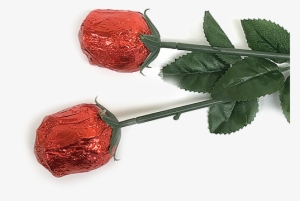 Red Foiled Belgian Chocolate Color Splash Roses For - Belgian Milk Chocolate Roses Png #1645584