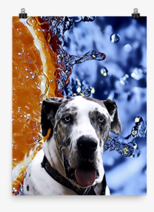 Great Dane Poster #1645930
