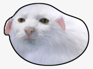 Eat The Booty Like Ratatouille - Soul Of The Damned #1646015