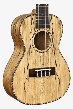 Amahi Snail Spalted Maple Concert Ukulele With Gig - Ukulele Concert Spalted Maple #1646372
