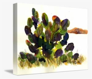 Go To Image - Imagekind 'cactus' Framed Painting Print, Green #1646531