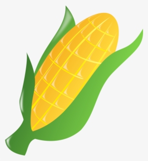 Corn On The Cob Caramel Corn Maize Sweet Corn Popcorn - Corn Clipart Transparent Background #1646569 Corn On The Cob Caramel Corn Maize Sweet Corn Popcorn - Corn Clipart Transparent Background #1646569