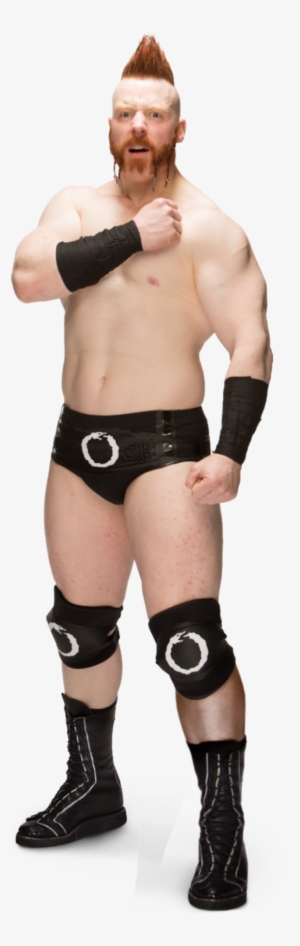Sheamus Full-78 - Wwe Sheamus 2016 Png #1647086