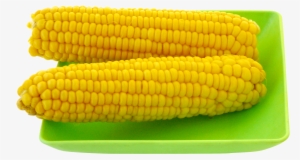Maize #1647102