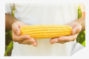 Agriculture #1647183