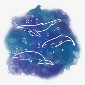 A Graphic Made In Illustrator And Photoshop Of Watercolor - T-shirt #1647670