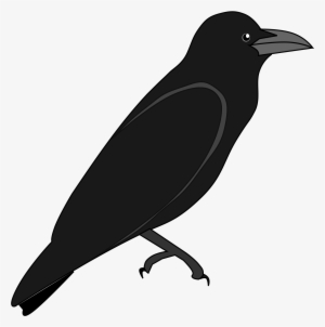 Crow Png Library Black Thing Huge - Outline Of A Crow #1648116