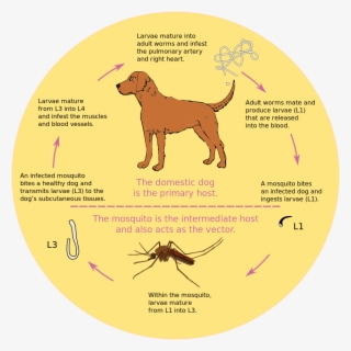 Moon - Circle #1648167 Moon - Circle #1648167