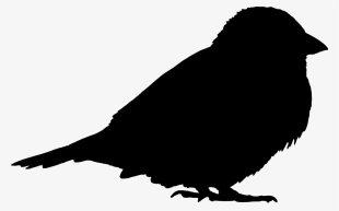 File - Sparrow Silhouette - Svg - Sparrow Silhouette #1648168