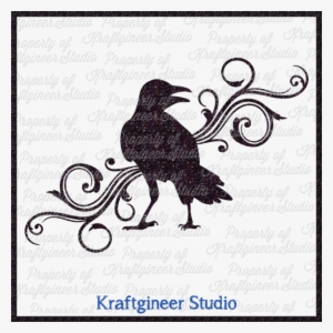 Raven - Common Raven #1648230