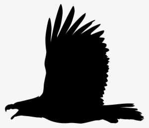 Eagle Silhouette Png Clip Art Image #1648258