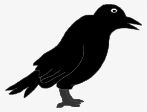 Outline Picture Of Crow #1648396
