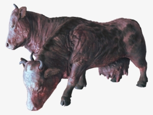 Brahmin - Brahmin Fo4 #1649337