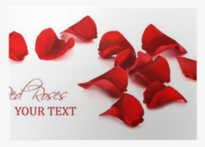 Real Rose Petals Png #1649597