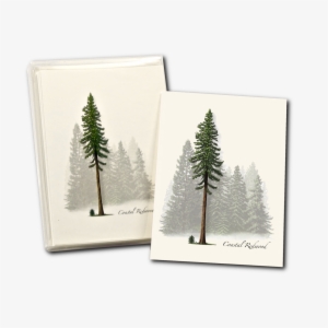 Shopping Cart -  -  #1650072