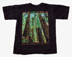 Redwood National And State Parks "may The Forest Be - Redwood Forest T Shirts #1650133