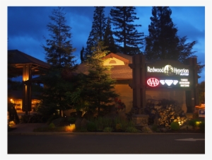 Landscape Lighting #1650380