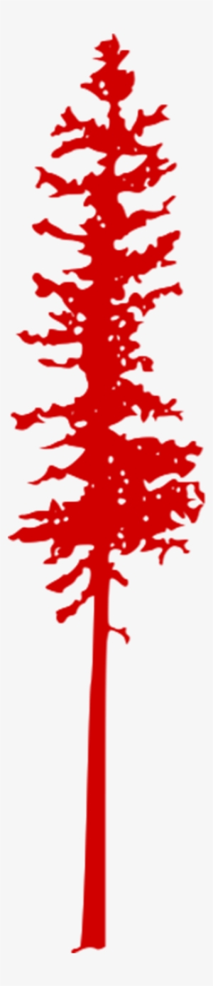 Contact Us - Pine #1650590