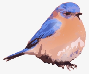 Eastern Bluebird - Eastern Bluebird Png #1651748