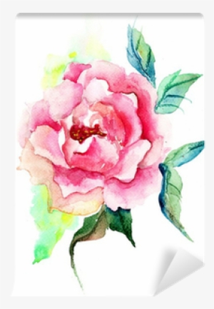 Beautiful Roses Flowers, Watercolor Painting Wall Mural - Watercolor Painting #1651858