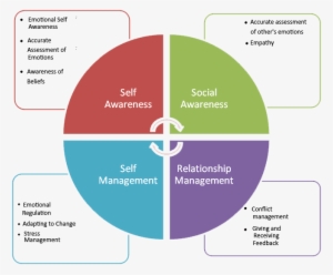It Isn't Iq Or Technical Skills, Says Daniel Goleman - Continuous Improvement Customer Service #1652094