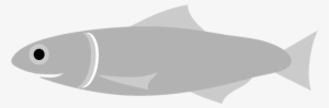 Graphic Bass Fish Vector Stock Vector Art & More Images - Gray Fish Clipart #1652468