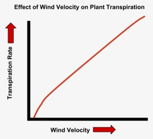 Open - Wind Speed Transpiration Graph #1654340