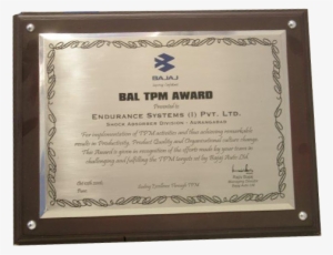 04 Pm 277464 Bal Tpm Award 2008 - Picture Frame #1654342