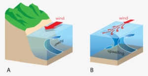 <p><strong>fig - 3 - 23 - </strong> The Processes - Upwelling Equatorial #1654464