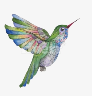 Do A Watercolor And Ink Illustration Of Whatever You - Ruby-throated Hummingbird #1654739
