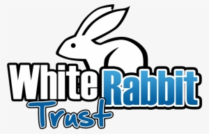 You've Reached The Trust Entrance - Rabbit #1655092