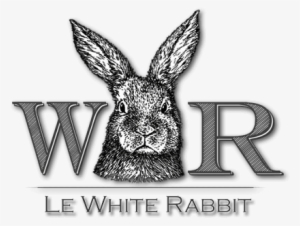 Fr - White Rabbit Longueuil #1655328